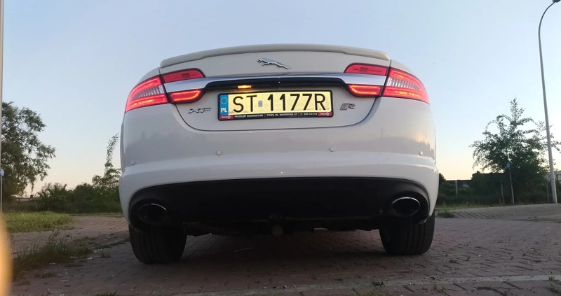 Jaguar XF cena 52000 przebieg: 118226, rok produkcji 2013 z Tychy małe 79